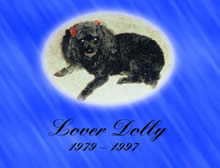 Lover Dolly picture